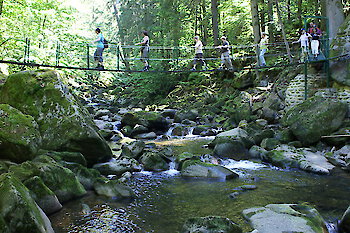 Schwäbischer Albverein Remshalden im Bayerischen Wald